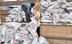 İhtiyaç Sahiplerine Kömür Yardımı (Isınma Desteği) Başvuruları Devam Ediyor!